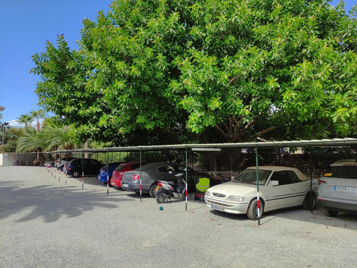 Albir Cosy Apartment Альбир Экстерьер фото